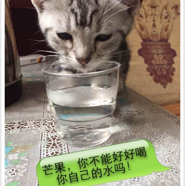 特兰托音乐学院学信网认证办理
